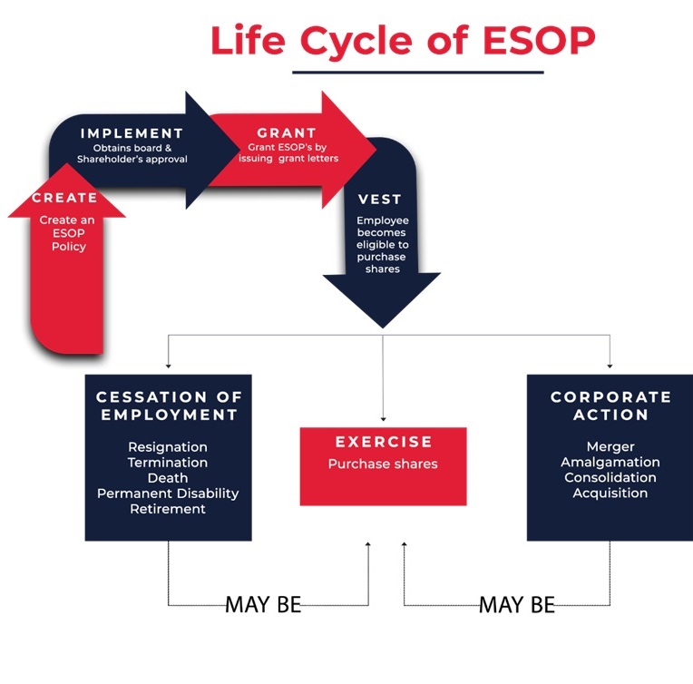 Ultimate Guide to ESOP
