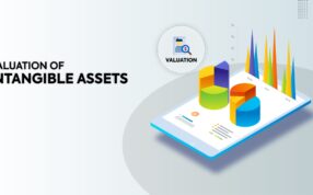VALUATION OF INTANGIBLE ASSETS