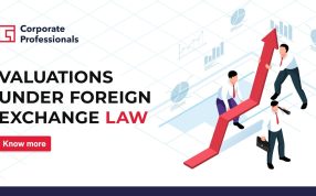 Valuations under Foreign Exchange Law