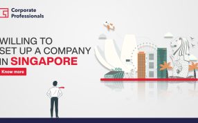 Willing to Set Up a Company in Singapore
