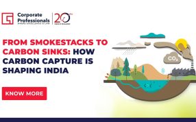 From Smokestacks to Carbon Sinks: How Carbon Capture Is Shaping India